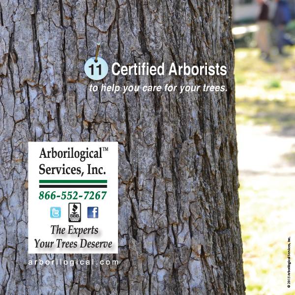 Arborilogical Services, Dallas, Texas