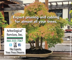 Arborilogical Services - 1015
