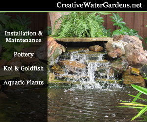 Creative Water Gardens - 1015