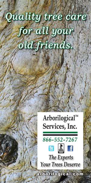 Arborilogical Services - 0715