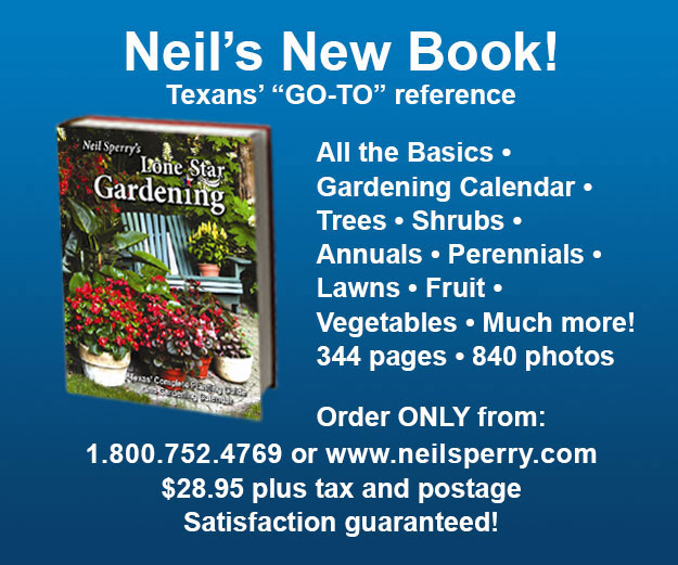 Neil's Lone Star Gardening