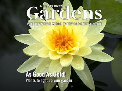 Gardens Magazine - August 2015