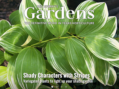 Gardens Magazine - September 2015