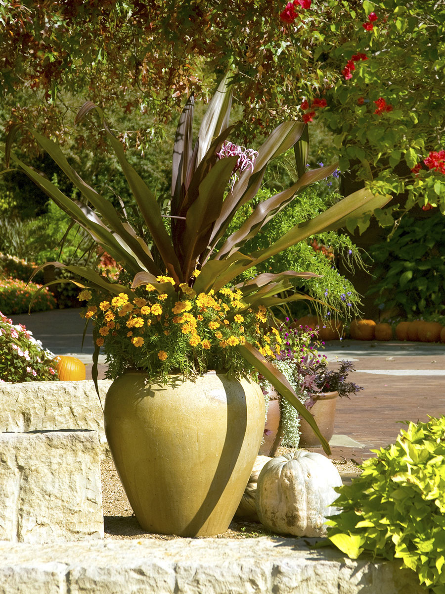 Patio-pot-makes-colorful-statement-CYNDY - Neil Sperry's GARDENS Magazine