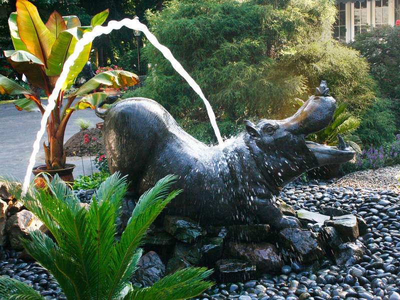 A large hippo bathes joyfully in its own rock-filled pool, all in scale with the expansive patio and large specimen plants.