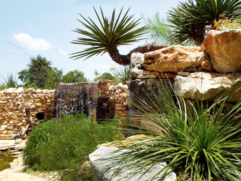 Beneath the arid desert landscape, surprisingly full of life itself, groundwater erupts from the parched earth, bringing forth a completely different ecosystem.