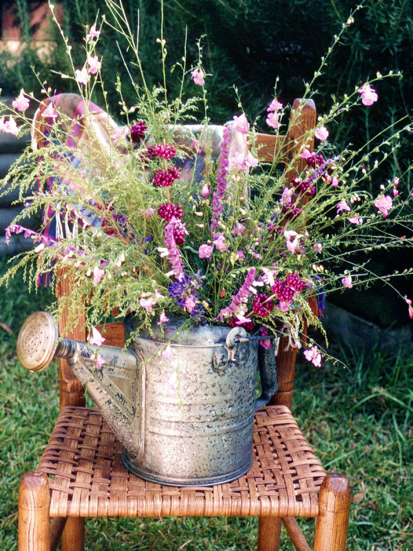 Ethereal effects result when flowers and berries are combined with autumn-blooming grasses.