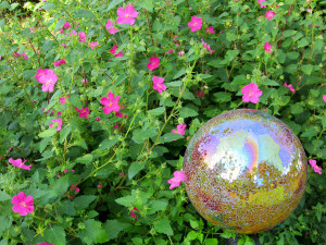A shimmering pink and gold globe stops the eye in a planting of Brazilian rock roses. Photo © Mary Wilhite.