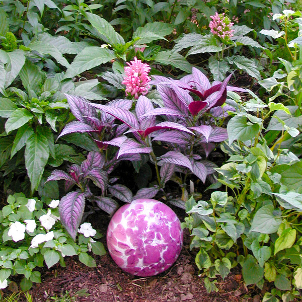 A pink mosaic globe carries out the color scheme as it nestles beneath purple Persian shield and pink Brazilian plume flowers. Photo © Mary Wilhite.